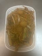 Best Vegetable Lo Mein in Warren, MI